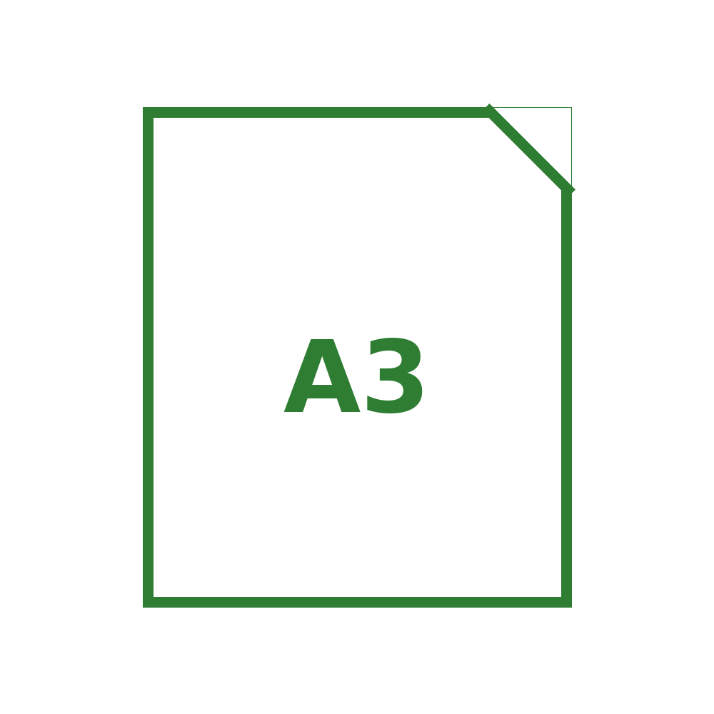 A3